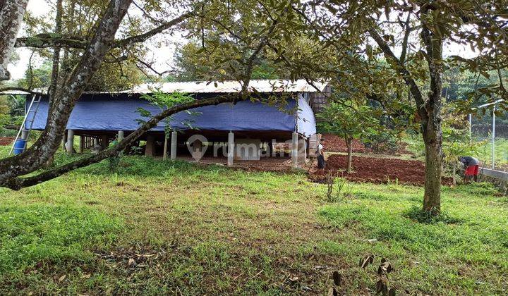 Disewakan Kandang Domba di Tanjungsari Cariu Bogor 6