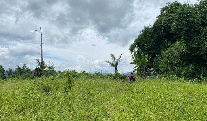 Tanah Kosong di Cigudeg Bogor Lokasi Strategis Nego 1