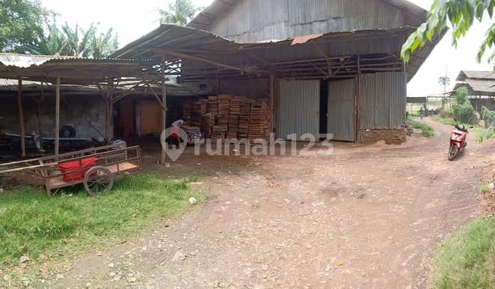 Tanah Kavling di Mauk Tangerang Pertenakan Ayam Petelur Tanah Kavling di Mauk Tangerang Pertenakan Ayam Petelur