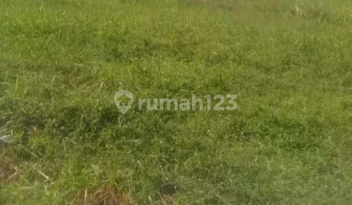 Dijual Kavling Siap Bangun Bentuk Kotak Sudah Dipagar Dekat Akses Toll Serpong Balaraja Dijual Kavling Siap Bangun Bentuk Kotak Sudah Dipagar Dekat Akses Toll Serpong Balaraja