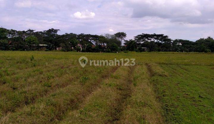 Tanah Kavling di Rajeg Tangerang Lokasi Strategis 1