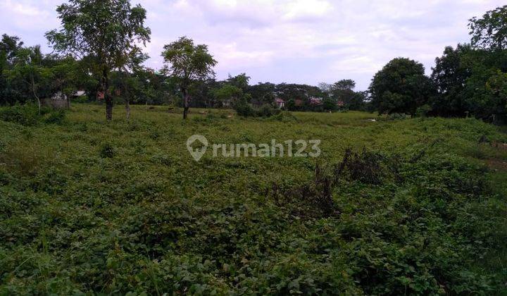 Tanah Kavling di Rajeg Tangerang Lokasi Strategis 2