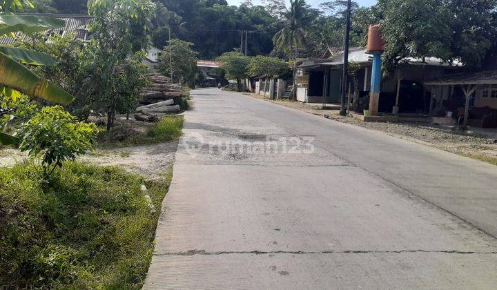 Tanah Kavlin Siap Bangun di Kebun Jasinga Bogor  2