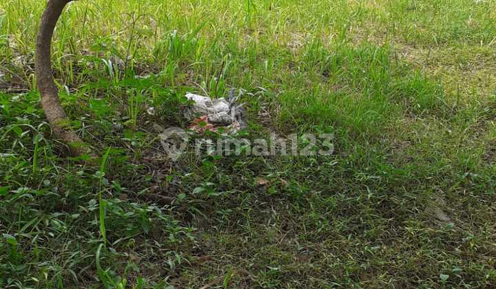 Kavling Bagus Akses Strategis di Cluster Kencana Loka BSD