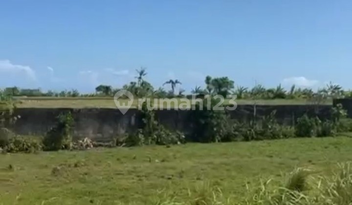 BU Jual Cepat Tanah Ocean View di Kedungu Bali