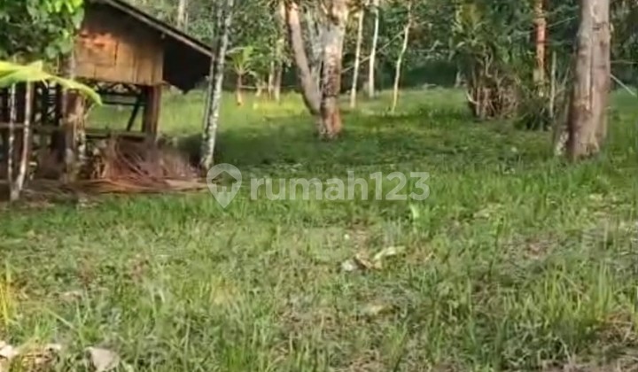 Negotiable Land near the Central Square of Pandeglang City in Kadu Lisung Pandeglang