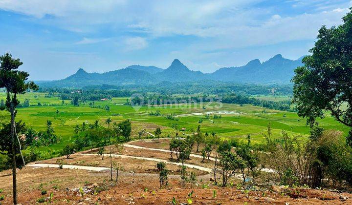 Tanah Kavling Mewah Pinggir Jalan Provinsi Bisa Bangun Via Tol 2