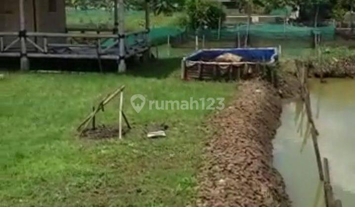 Jual Cepat Empang Lahan Darat di Cibentang Ciseeng Parung Bogor  1