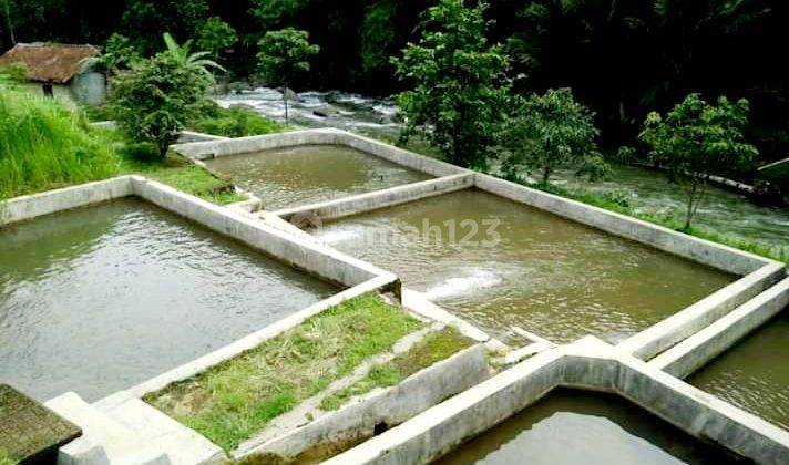 Dijual Lahan Produktif TAMBAK IKAN SHM Bogor Barat 1