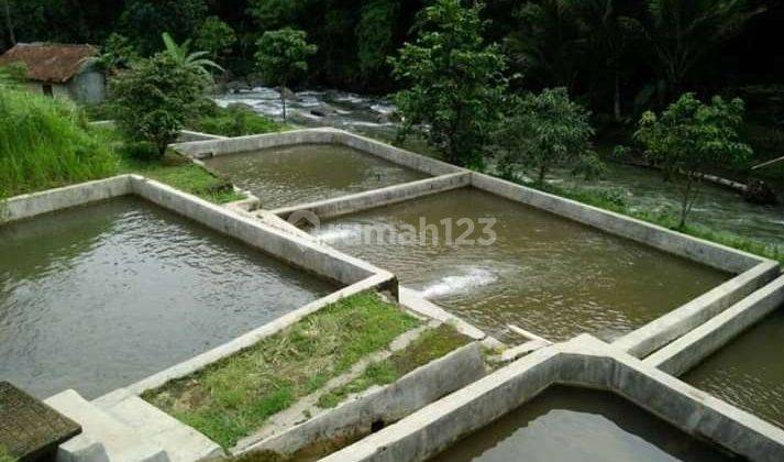 Dijual Lahan Produktif TAMBAK IKAN SHM Bogor Barat 2