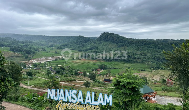 Jual Tanah Kavling Wisata Sekitar Jakarta Depok Bekasi Bogor Shm Jual Tanah Kavling Wisata Sekitar Jakarta Depok Bekasi Bogor Shm