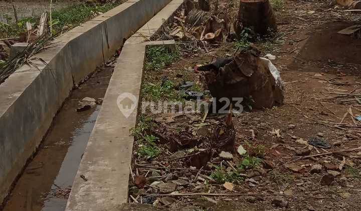 Dijual Tanah Daerah Kampung Domplang Purworejo Kedu Jawa Tengah