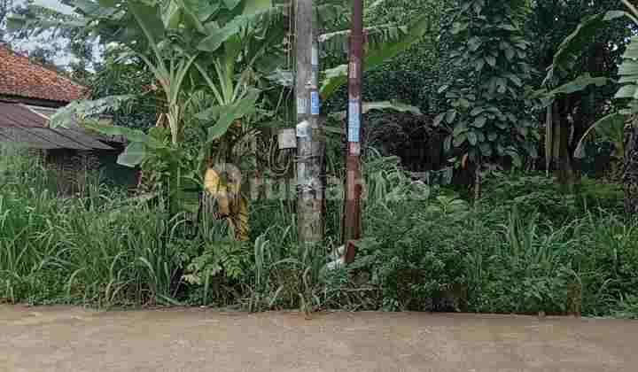 Dijual tanah di daerah Cimanggis Gunung Sindur Bogor Dijual tanah di daerah Cimanggis Gunung Sindur Bogor