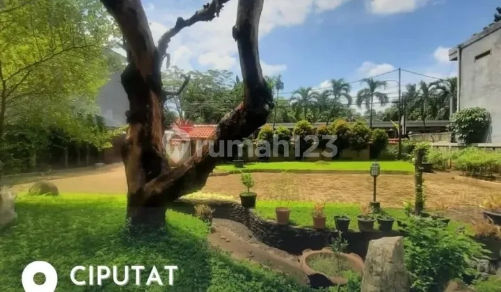 Rumah Tanah Luas, Paling Murah Di Ciputat, Cocok Utk Perumahan Developer, Dekat Pintu Tol Pamulang 1