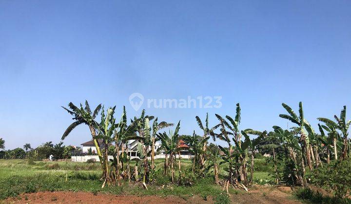 Dijual Tanah Di Cikupa Tangerang Dekat Citra Raya,bisa sebagian 2