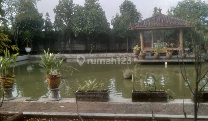 Dijual Tanah Di Sumedang Pinggir Jalan Dekat Toll Cisumdawu 1