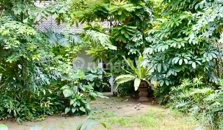 For Sale: House in Menteng, Elite and Premium Ring 1 Area, Flood-Free 2