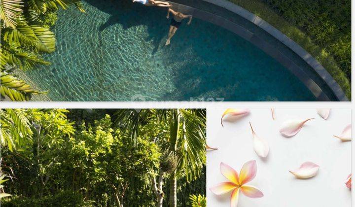 Freehold Premium Luxury Villa Complex With Jungle View At Ubud Bali 5