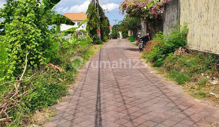 Leasehold Land 3006 Sqm Yellow Zone At Kerobokan Kaja 2