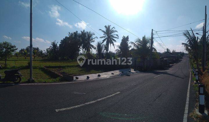 Quick sale of 1.5 acre land in Sibang Gede Badung close to Ubud Bali 1