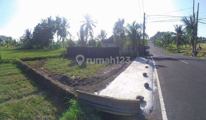 Jual Cepat Tanah 1,5 Are di Sibang Gede Badung Dekat Ke Ubud Bali 2