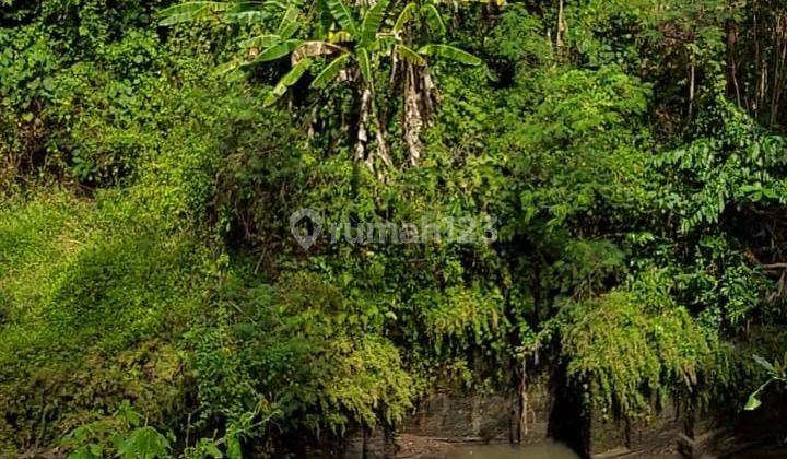 For Sale 300 SQM Freehold Land at Kerambitan Tabanan 1