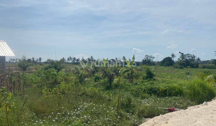 Freehold Land For Sale 3 Are Or 300m2 Munggu Seseh Badung 1