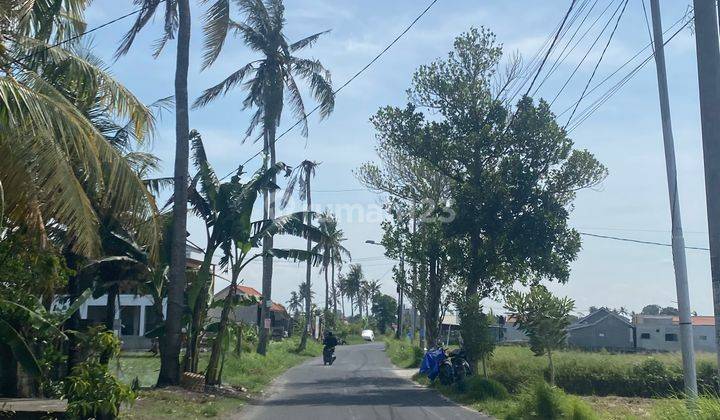 Freehold Land For Sale 3 Are Or 300m2 Munggu Seseh Badung 2