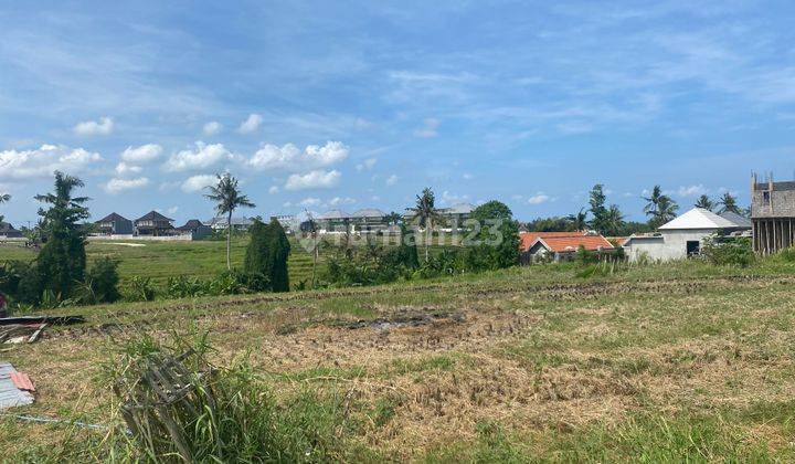 Freehold Land For Sale 3 Are Or 300m2 Munggu Seseh Badung 5