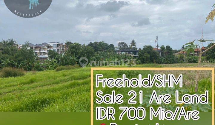 Freehold Land 21 Are Pantai Lima Pererenan Green Zone 1