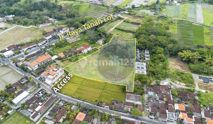 Langka Tanah Hak Milik 1 Ha di Jl Pantai Nyanyi Beraban  2