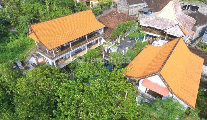 For Sale 15 Rooms River Side Guest House at Padonan Canggu


 1