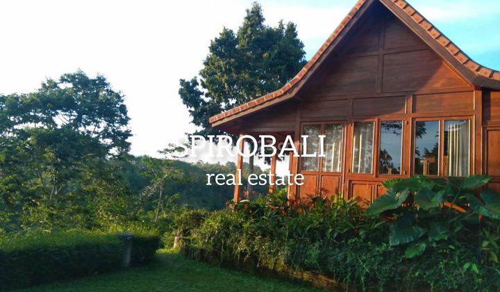 Quick sale of Joglo Cottage at Payangan Views Forest Sunset 2