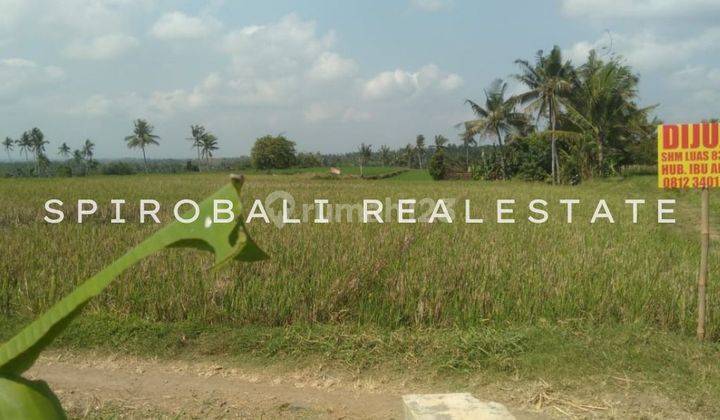 DIJUAL GLOBAL TANAH DI BANYUWANGI JAWA TIMUR 1