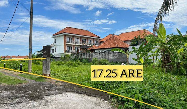 Tanah Hak Milik 17 Are di Canggu Area Premium 2