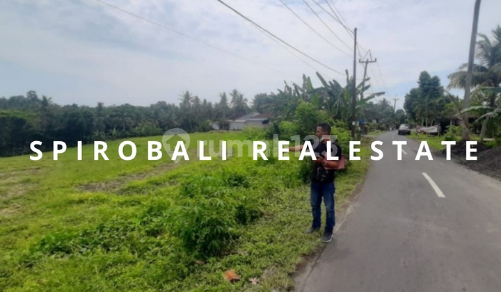 Freehold Land in Tabanan is Still Very Beautiful Freehold Land in Tabanan is Still Very Beautiful