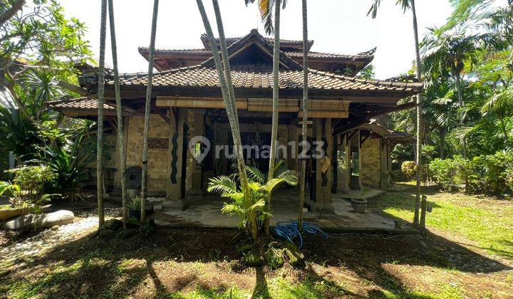 Jual Villa Luas 974 M2 Harga Hitung Tanah Petitenget Seminyak 1