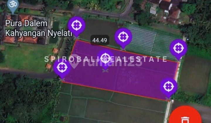 Dijual Tanah Murah 39 Are di Kuwum Mengwi Dijual Tanah Murah 39 Are di Kuwum Mengwi