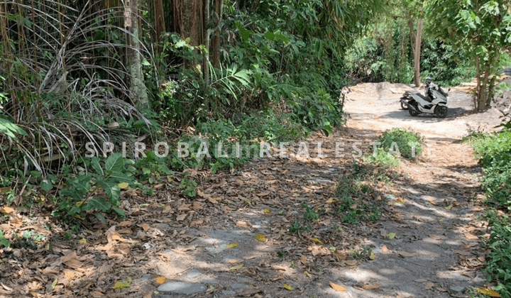 Land For Lease 450 M2 In Cepaka Selingsing River View 2