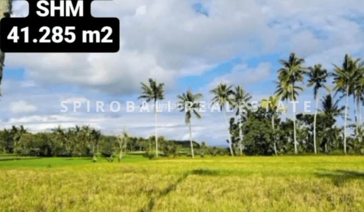 Jual Tanah Hak Milik Total 41.285 M2 di Banyuwangi Selat Bali 1