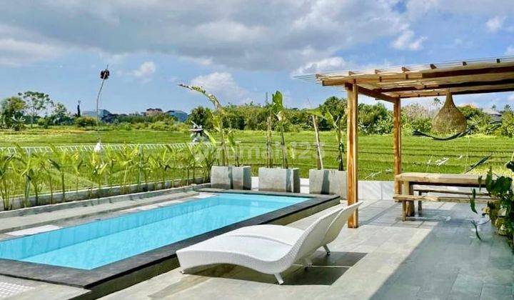 Canggu Bright Villa 3 Bedroom Rice Fields View 1