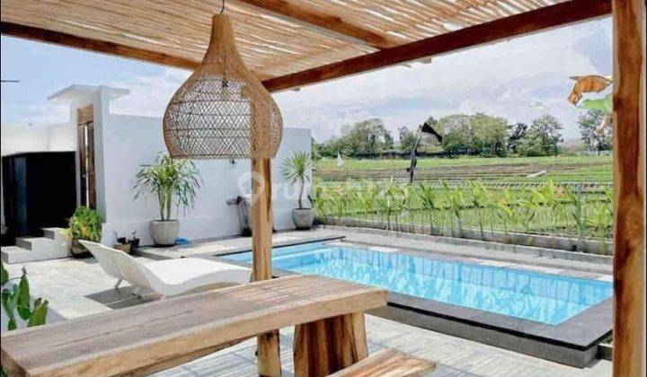 Canggu Bright Villa 3 Bedroom Rice Fields View 2