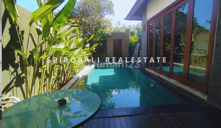 Beautiful 2 Bedrooms Villa In Umalas Fully Furnished 2