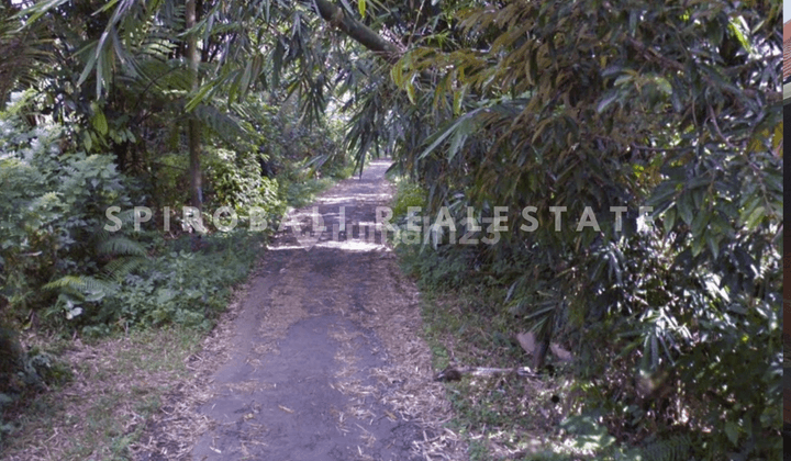 Cheap Land in Penebel Tabanan Bali 2