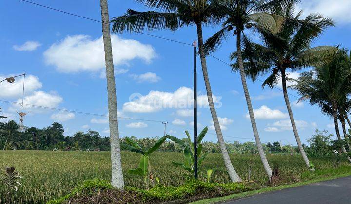 Tanah Murah Hak Milik 39.25 Are di Kuwum Mengwi Mainroad 2