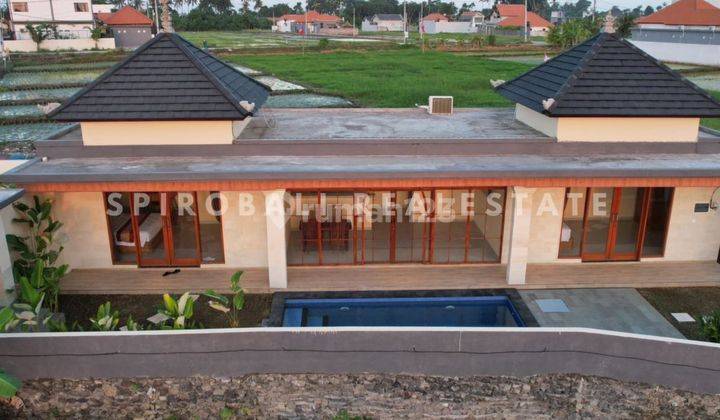 New Built 2 Bedrooms Villa Cemagi Rice Fields View 2