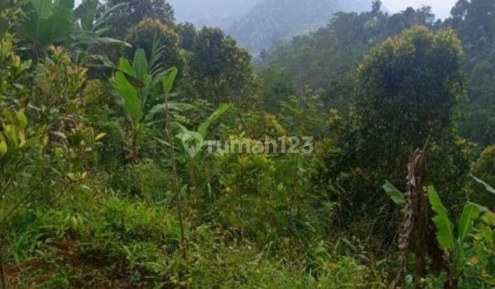 Jual Lahan Hak Milik 6,5 Ha di Turyapada Tower Buleleng  1