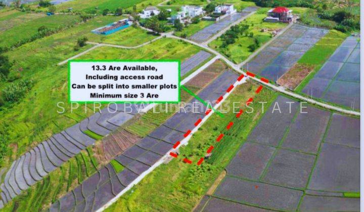 Leasehold Land Small Plot Ocean View In Kedungu Beach 1