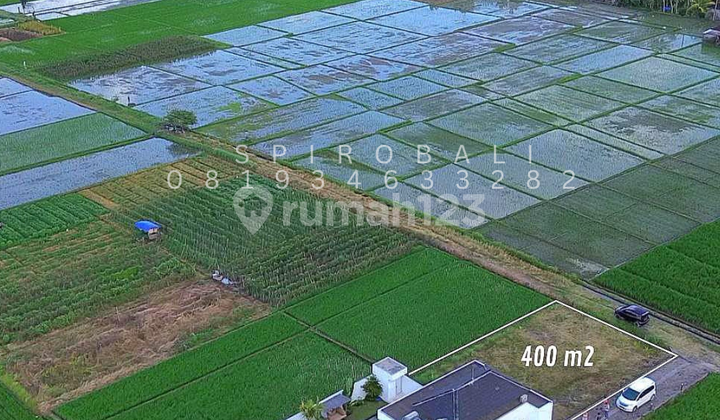For Sale Land with Ocean Views & Ricefields in Kelating Tabanan 400 Sq Meters For Sale Land with Ocean Views & Ricefields in Kelating Tabanan 400 Sq Meters