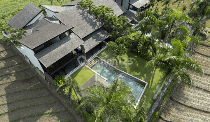 Two Units Freehold Luxury Rice Field Villas In Tabanan 2